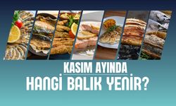 Kasım Ayında Hangi Balık Yenir?