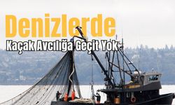 Kırklareli: Denizlerde Kaçak Avcılığa Geçit Yok