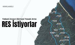 Kırklareli: Yabani Arının Girmesi Yasak Ama RES İstiyorlar