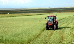 Tarımsal Girdi Fiyat Endeksi Verileri Belli Oldu