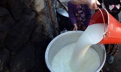 Ticari Süt İşletmelerince 892 Bin 886 Ton İnek Sütü Toplandı