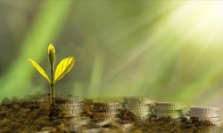 Sanayide Yeşil Dönüşümün Yol Haritası Devreye Giriyor