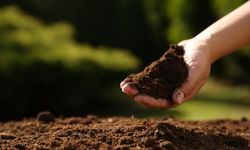 Sağlıklı Kentler İçin, Sağlıklı Topraklara İhtiyacımız Var!