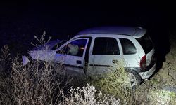 Otomobil Tarlaya Girdi; 1 Yaralı