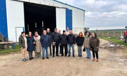 Lüleburgaz’da Mantar Üretim Tesisi İncelendi