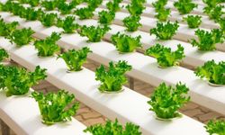 Halk Eğitim Merkezinde Kurslar Devam Ediyor