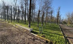 Büyükkarıştıran’da Temizlik Seferberliği