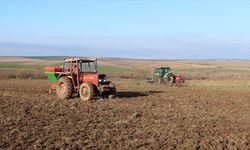 Hayvancılığa Suni Mera Desteği