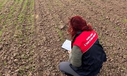 Arpa Demonstrasyon Alanları Kontrol Edildi