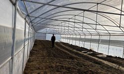 Kırklareli Kendi Sebze İhtiyacını Karşılayacak