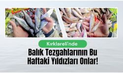 Kırklareli’nde Balık Tezgahlarının Bu Haftaki Yıldızları Onlar