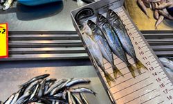 Kırklareli'nde Su Ürünleri Denetimi Yapıldı