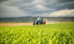 Tarımsal Girdi Fiyat Endeksi Verileri Açıklandı