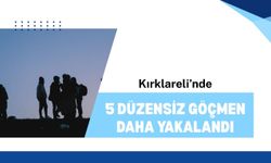 Kırklareli’nde 5 Düzensiz Göçmen Daha Yakalandı