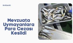 Kırklareli: Mevzuata Uymayanlara Para Cezası Kesildi