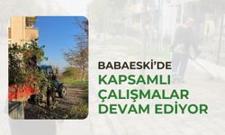 Babaeski’de Kapsamlı Çalışmalar Devam Ediyor