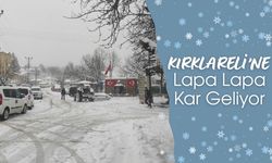 Kırklareli’ne Lapa Lapa Kar Geliyor