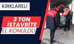 Kırklareli'nde 3 Ton İstavrite El Konuldu