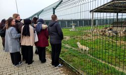 Öğrenciler Hayvan Bakımevini Ziyareti Etti