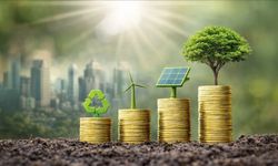 Çevre Korumaya Ne Kadar Harcandı?