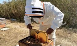 Büyükşehir'den Arıcılara Malzeme Desteği