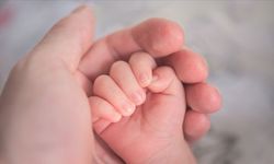 Tüp Bebekte Doğru Bilinen 10 Yanlışa Dikkat!