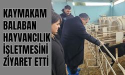 Kaymakam Balaban Hayvancılık İşletmesini Ziyaret Etti