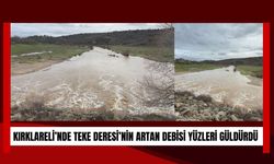 Kırklareli’nde Teke Deresi’nin Artan Debisi Yüzleri Güldürdü