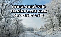 Kırklareli’nde Harikulade Kar Manzaraları