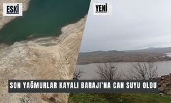 Son Yağmurlar Kayalı Barajı’na Can Suyu Oldu