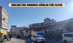 Kırklareli’nde Dondurucu Soğuklar Etkili Oluyor