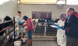 Kırklareli: Hayvancılık İşletmelerinde Kontroller Devam Ediyor