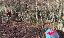 Zararlılara Karşı Sahada Etkin Mücadele!