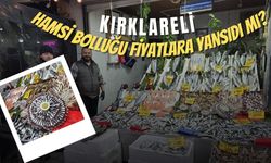 Kırklareli; Hamsi Bolluğu Fiyatlara Yansıdı Mı?