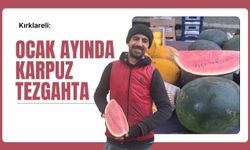 Kırklareli’nde Ocak Ayında Karpuz Tezgahta