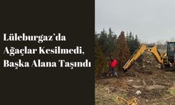 Lüleburgaz’da Ağaçlar Kesilmedi, Başka Alana Taşındı