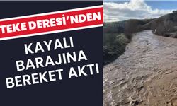 Teke Deresi’nden Kayalı Barajına Bereket Aktı