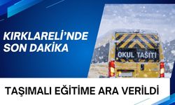 SON DAKİKA; Kırklareli'nde Taşımalı Eğitime Ara Verildi