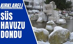 KIRKLARELİ; Süs Havuzu Dondu!