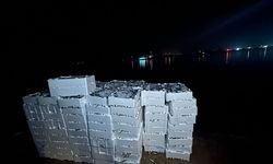 Kırklareli’nde 1 Ton 300 Kilogram İstavrite El Konuldu