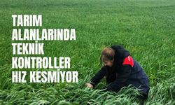 Tarım Alanlarında Teknik Kontroller Hız Kesmiyor