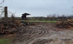 Kırklareli; Odun Keserken Hızarın Üzerine Düşen İşçi Ağır Yaralandı