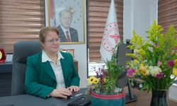 Müdürü Cerit, AA'nın Yılın Karelerini Oyladı