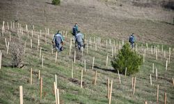 Lüleburgaz; Binlerce Fidan Toprakla Buluştu