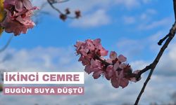 İkinci Cemre Bugün Suya Düştü