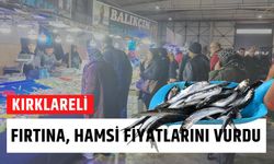 Kırklareli; Fırtına Hamsi Fiyatlarını Vurdu