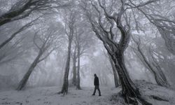 Kırklareli; Jandarma Kule Mevkii Beyaza Büründü