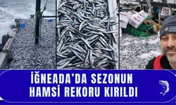 İğneada’da Sezonun Hamsi Rekoru Kırıldı
