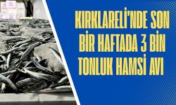 Kırklareli’nde Son Bir Haftada 3 Bin Tonluk Hamsi Avı