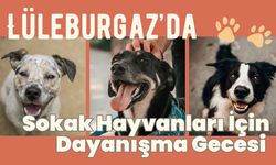 Lüleburgaz’da Sokak Hayvanları İçin Dayanışma Gecesi